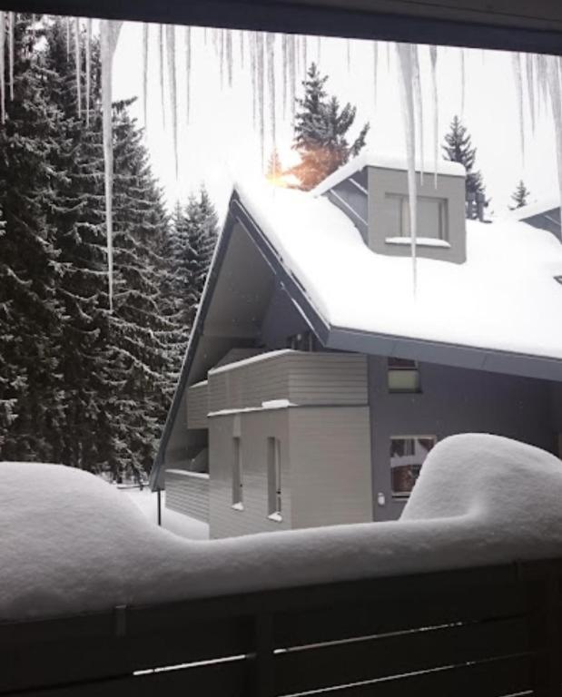 Relax Harrachov Apartments Екстер'єр фото