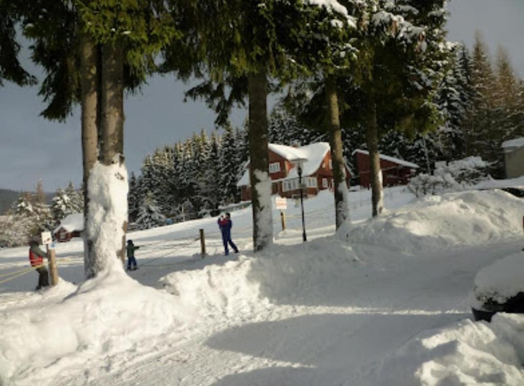 Relax Harrachov Apartments Екстер'єр фото